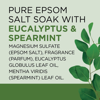 Epsom Salt Magnesium Soak, Relax & Relief with Eucalyptus & Spearmint, 3 Lbs