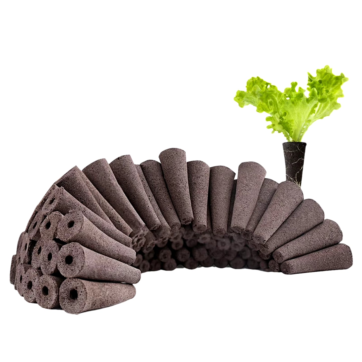 Seed Grow Sponges Replacement Root Growth Sponges Seedling Starter Plugs Seed Starting Seed Pod Hydroponic Garden Planting